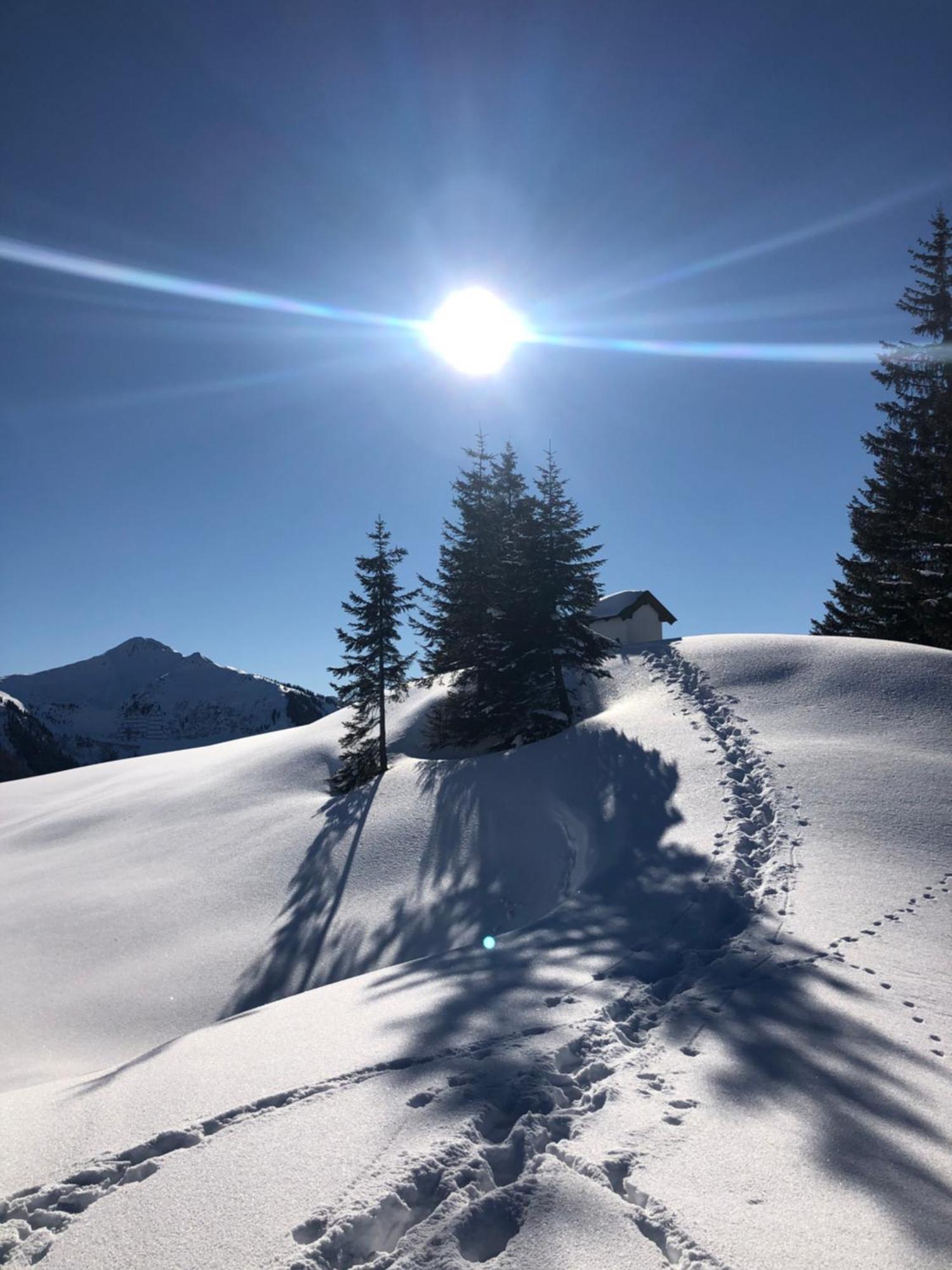 Wimreiter * Saalbach